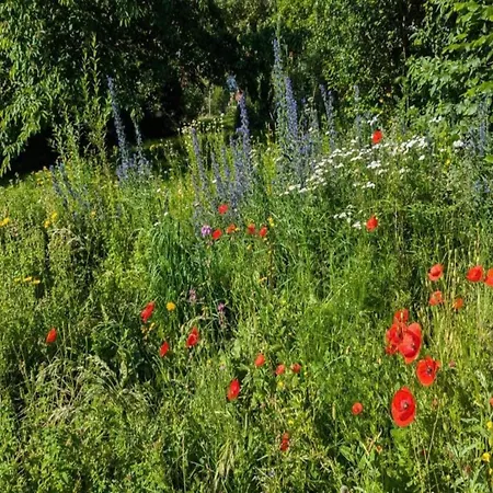 Charming In Fuldabrueck With Garden Apartment *